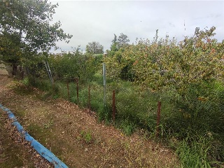DS CR LOGROÑO TR DEL OLIVAR 9