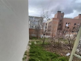 MAYOR 14