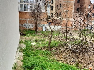 MAYOR 15