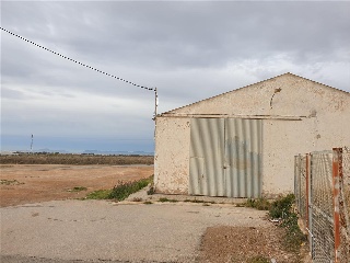 Enrique Tierno Galván 14