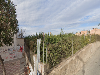 PM-SJ-1 (DISEMINADO SAN FERNANDO) 14