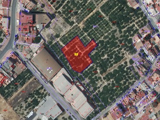 PM-SJ-1 (DISEMINADO SAN FERNANDO) 20