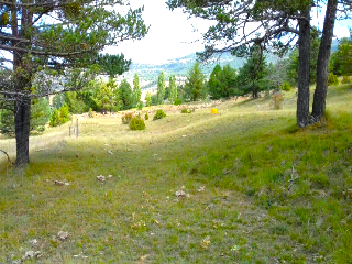 FUEN DE LA REINA 8