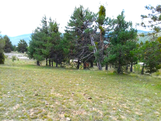 FUEN DE LA REINA 9