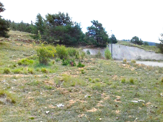 FUEN DE LA REINA 14
