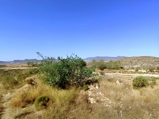 PARAJE CUESTA LARGA Y PARAJE DE POZO NEGRO 14