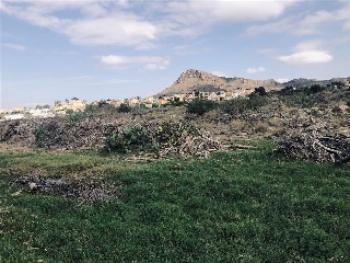 PARAJE CUESTA LARGA Y PARAJE DE POZO NEGRO 17