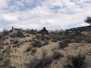 PARAJE CUESTA LARGA Y PARAJE DE POZO NEGRO 19