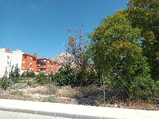 MARQUESADO DE LOS VELEZ 11