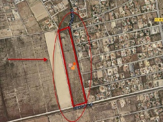 CARRIZALES, POLÍGONO 56, PARCELA 20