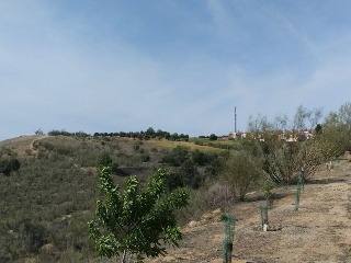 CINCO S-27 9