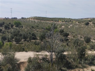 CINCO S-27 12