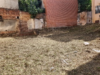 BARDALES (FINCA 5) 17