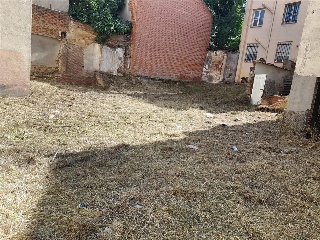 BARDALES (FINCA 5) 19