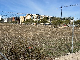 DEL VALLE 9