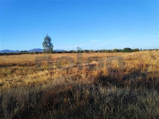 Otros en venta en Navalvillar De Pela