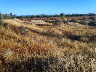 otros en venta , Navalvillar De Pela 3