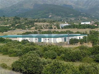 nave en venta , Hervas , 9116 m2 6