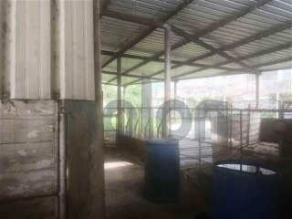 Otros en venta en Hazas De Cesto