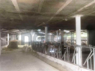 otros en venta , Hazas De Cesto 2