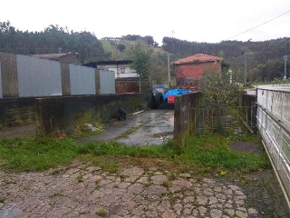 otros en venta , Hazas De Cesto 3