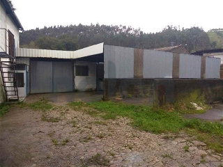 otros en venta , Hazas De Cesto 5