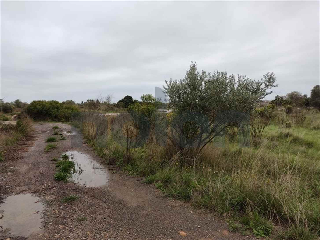 otros en venta , Borriana/Burriana 2