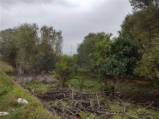 otros en venta , Borriana/Burriana 2