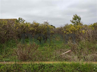 otros en venta , Borriana/Burriana 3