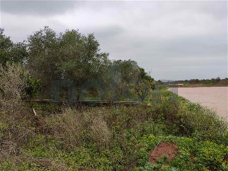 otros en venta , Borriana/Burriana 4