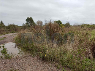 otros en venta , Borriana/Burriana 5