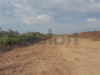 otros en venta , Borriana/Burriana 2