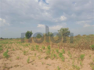 otros en venta , Borriana/Burriana 3