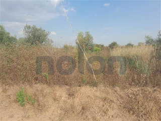 otros en venta , Borriana/Burriana 4