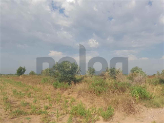 otros en venta , Borriana/Burriana 5