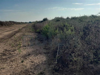 otros en venta , Borriana/Burriana 7