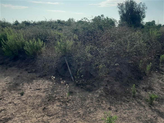 otros en venta , Borriana/Burriana 8