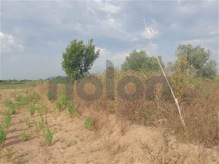 otros en venta , Borriana/Burriana 9