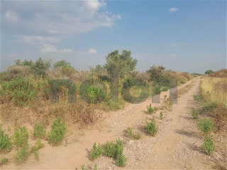 otros en venta , Borriana/Burriana 10