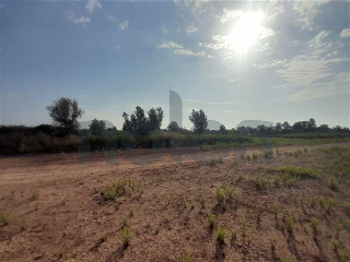 otros en venta , Borriana/Burriana 12