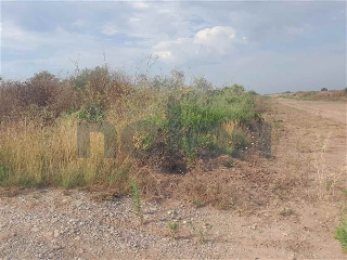 otros en venta , Borriana/Burriana 13