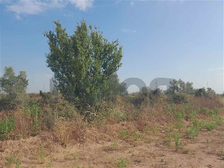 otros en venta , Borriana/Burriana 14