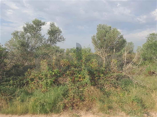 otros en venta , Borriana/Burriana 16