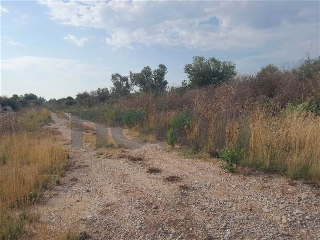 otros en venta , Borriana/Burriana 17