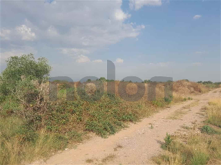 otros en venta , Borriana/Burriana 19