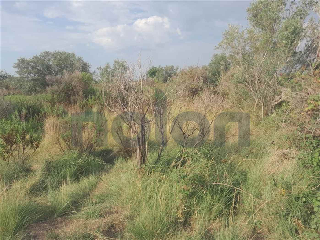 otros en venta , Borriana/Burriana 20