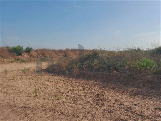 otros en venta , Borriana/Burriana 23