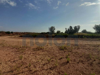 otros en venta , Borriana/Burriana 24
