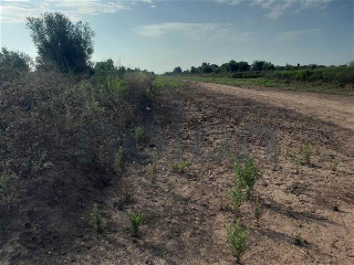 otros en venta , Borriana/Burriana 25