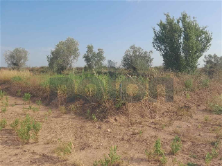 otros en venta , Borriana/Burriana 26